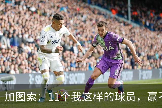 加图索:11个我这样的球员,赢不了多少球