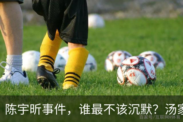 陈宇昕事件，谁最不该沉默？汤家凤博士一语戳中软肋